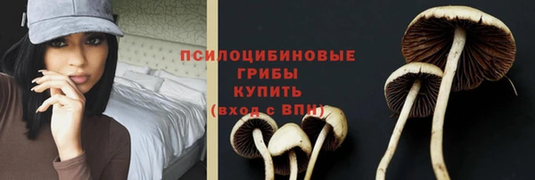 гидропоника Арсеньев