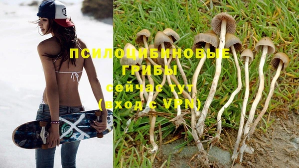 марки nbome Аркадак