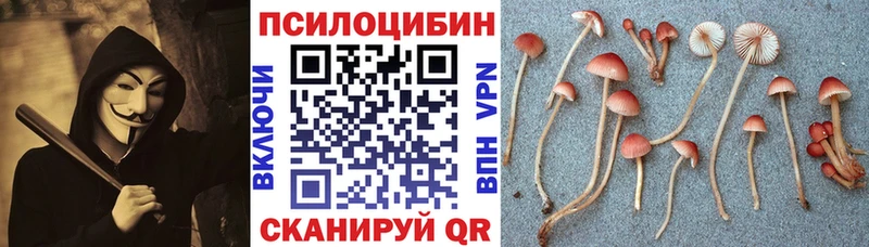 Галлюциногенные грибы GOLDEN TEACHER  Себеж 